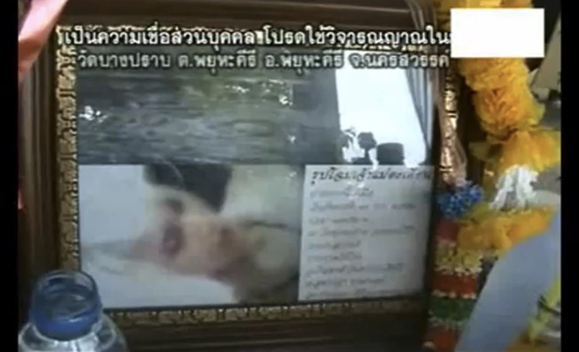 pttt236's tweet photo. ชาวบ้านเอาทรศ.ไปถ่ายต้นตะเคียน แล้วอ้างว่าเห็นเป็นภาพผู้หญิงผมสีขาวซึ่งเป็นเจ้าแม่ตะเคียน หลังจากนั้นคนก็พากันกราบไหว้บูชาเจ้าแม่ตะเคียน มีเอารูปไปอัดกรอบห้อยคอด้วย ข่าวดังมากจนออกเรื่องจริงผ่านจอ แต่คนในพันทิปคุ้น ๆ หน้าเจ้าแม่ตะเคียนเลยไปหารูปออกมาเฉลยว่าเป็น “คิมแจจุง วง TVXQ” 😭