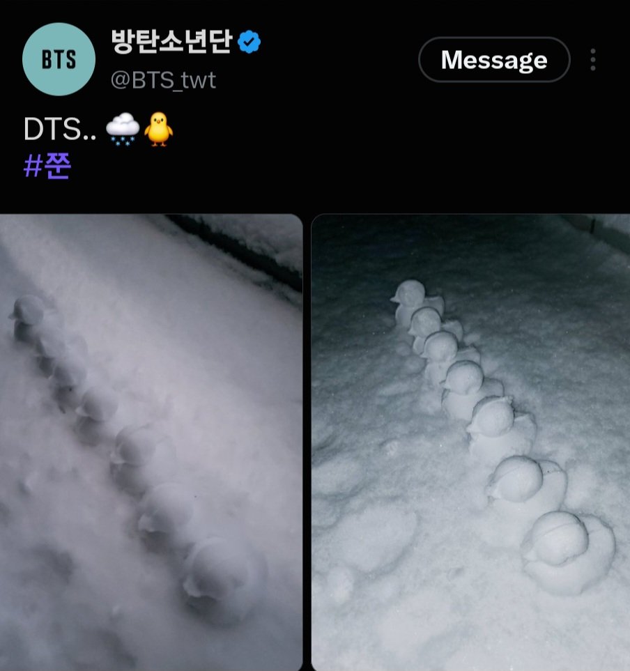 kookyun's tweet photo. Namjoon went from making DTS with snow 5 years ago to showing 7 ducks at his first museum exhibition https://t.co/JH8JG1Bevx