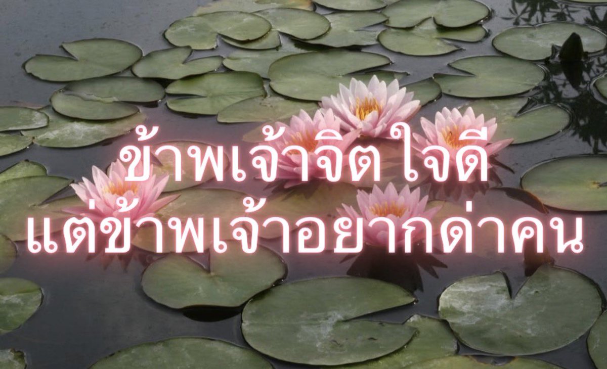 Iaunza's tweet photo. แค่นั้นเอง https://t.co/g3agd5R72L