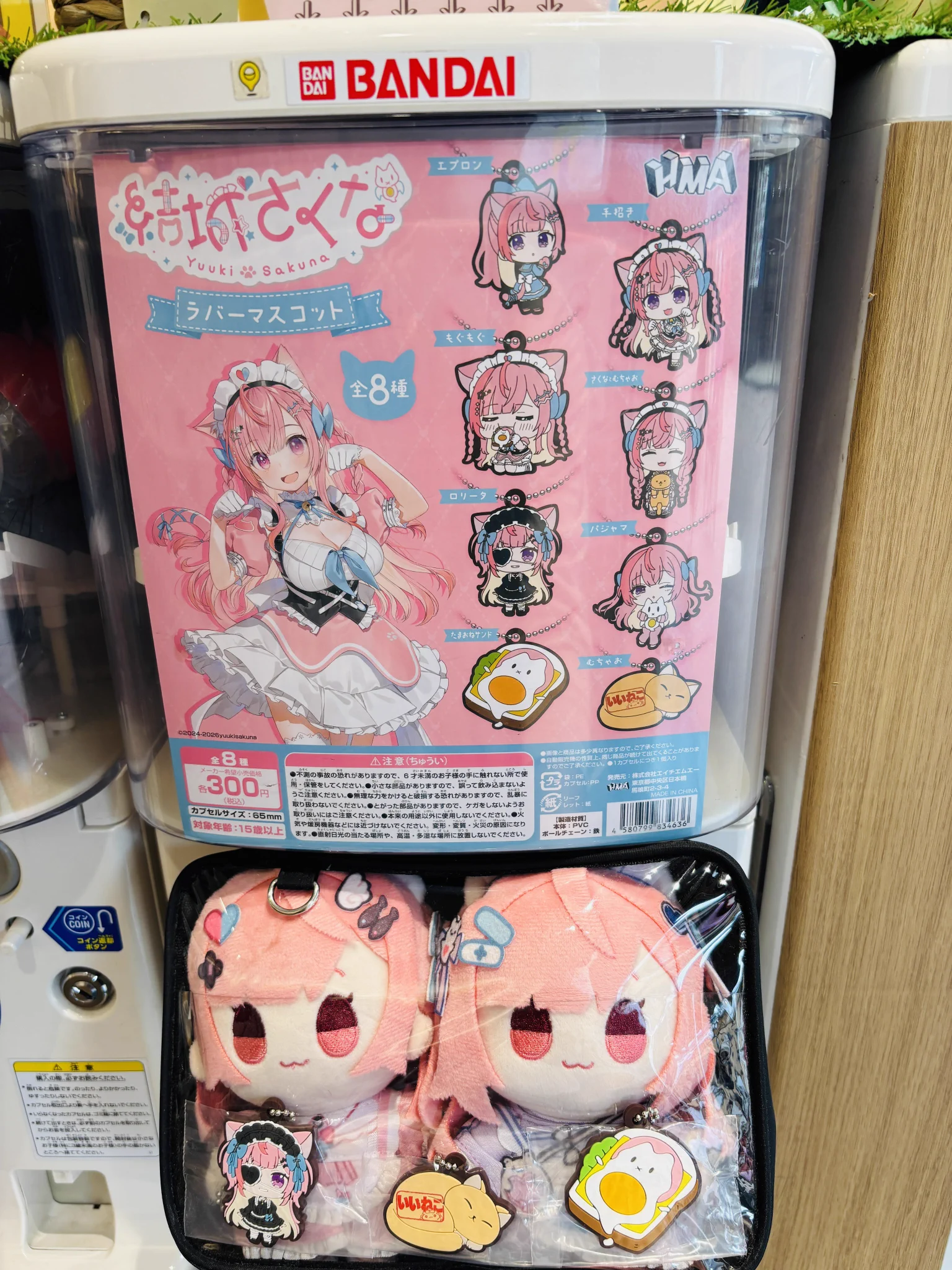 しちみ (D.C.)🎀🐾 on X: 