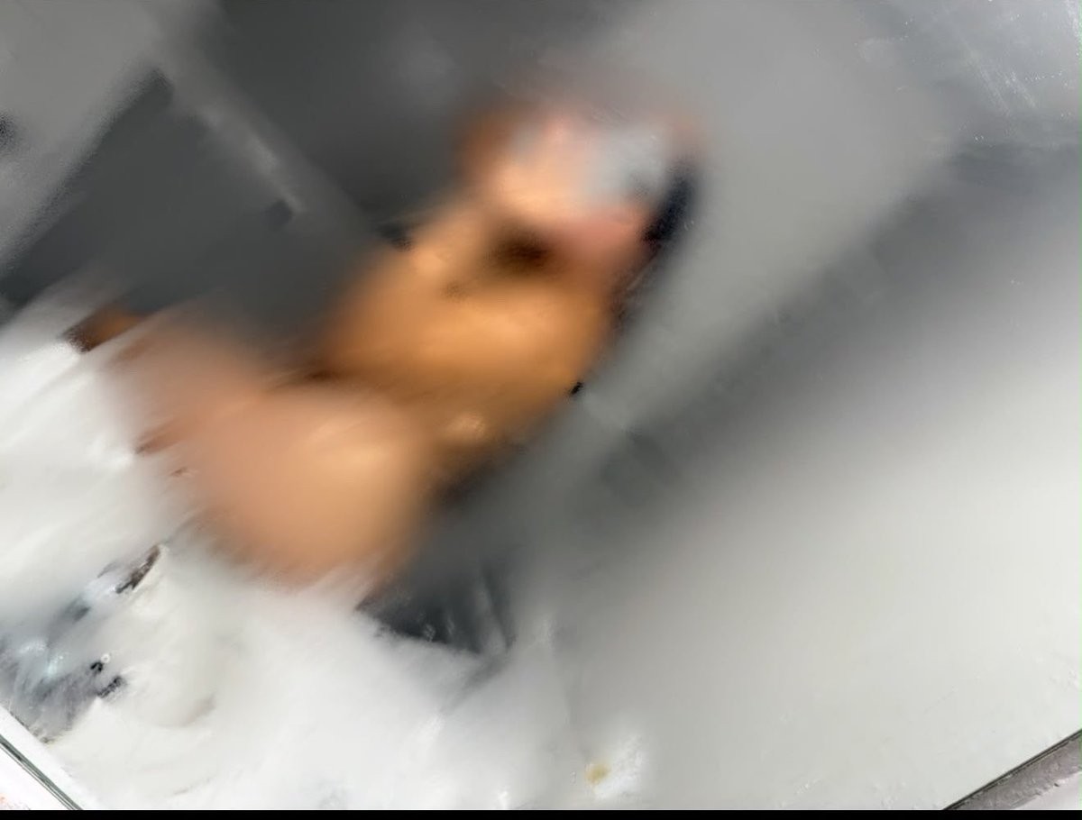 SaraShusler's tweet photo. A little preview… 😈🔥
The best part is on my Telegram 👇

https://t.co/trLXFASEQY https://t.co/3PdXokFLSv