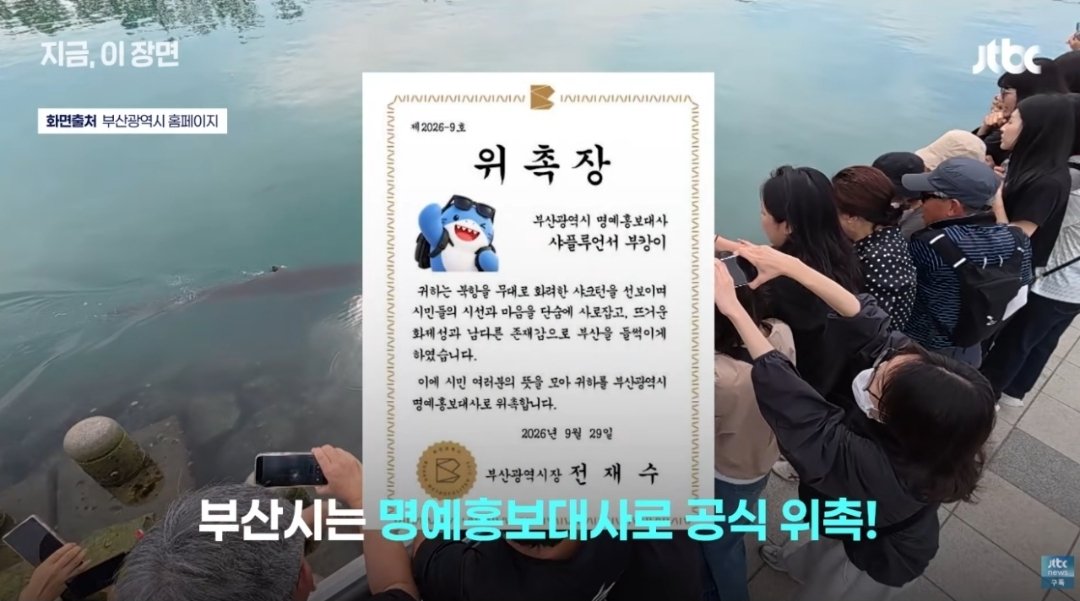 yammas22's tweet photo. 부캉이   부산시 명예홍보대사 위촉 ㄷㄷ https://t.co/ll1Dx2AanJ