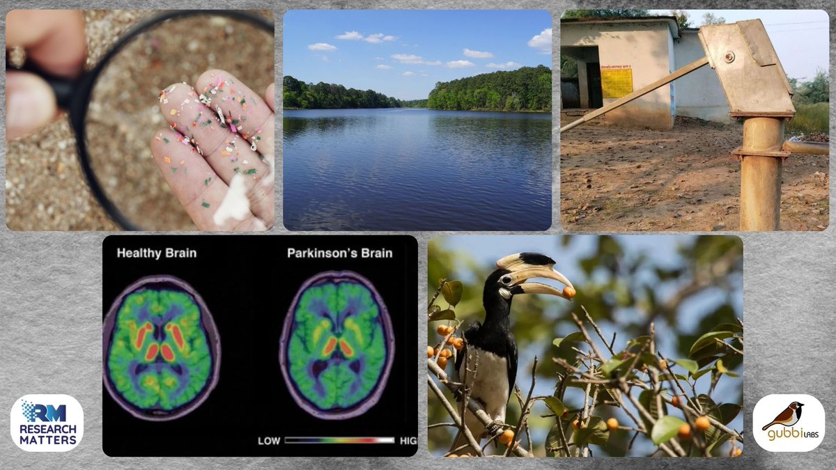 SciResMatters's tweet photo. 𝗘𝗽𝗶𝘀𝗼𝗱𝗲 𝟵𝟮!!

Another week, another newsletter to increase your knowledge
Be it #science, #technology, #innovation, or #discoveries, all stories under one platform.
Explore the world of STEAM at your fingertips.

To dive deep, subscribe at:
https://t.co/zHnm9xqBOX

Additionally, your favourite
𝑆𝑡𝑜𝑟𝑖𝑒𝑠
𝑊𝑒𝑒𝑘𝑙𝑦 𝑞𝑢𝑖𝑧
𝑆𝑐𝑖𝑑𝑙𝑒
𝐸𝑣𝑒𝑛𝑡𝑠

@univofstandrews | @SACONCoimbatore | @iiserkol | @ShivNadarUniv | @wii_india | @DPRPKUFOS | @CES_IISc | @niser_official | @IMScChennai | @DBT_NBRC | @keio_university | @atree_org | @GBPNIHESD | @SKBU_Purulia | @ICAR_CMFRI @MAHE_Manipal | @ccmb_csir | @ncfindia

@gubbilabs @Sudhira | @bharatahs | @DennisCJ8 | @Ar_SH | @ShilpaIJ1 | @badrinathramya