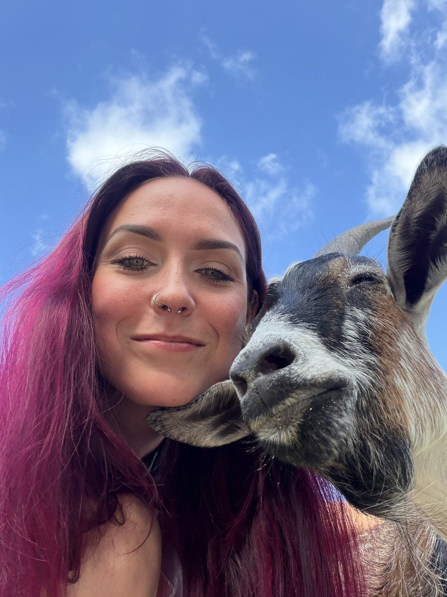 FireEngineHoe's tweet photo. I wish I could have a farm so I could spend all my days surrounded by animals, and make sure they feel loved everyday❤️ https://t.co/thnOaSkj8y