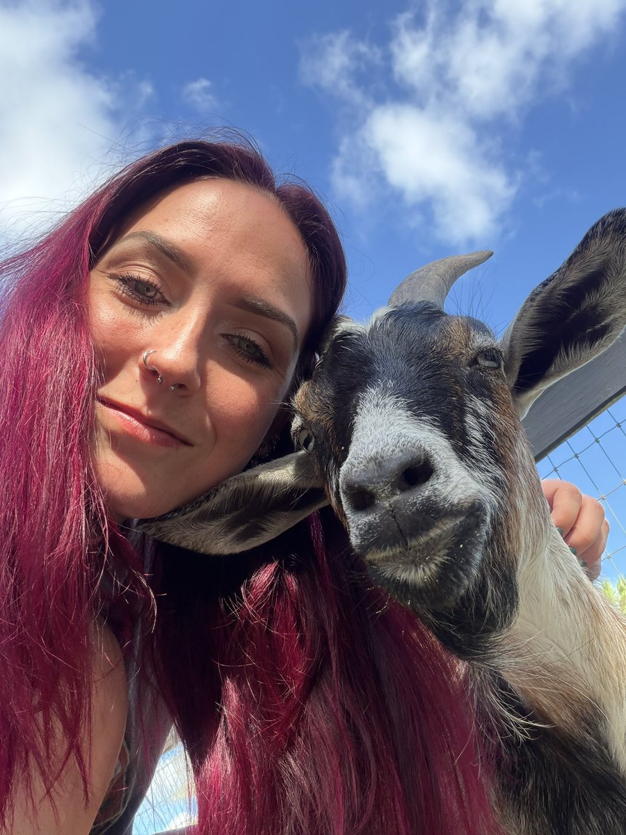 FireEngineHoe's tweet photo. I wish I could have a farm so I could spend all my days surrounded by animals, and make sure they feel loved everyday❤️ https://t.co/thnOaSkj8y