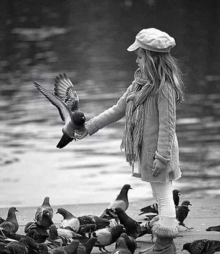 bla_ckyo's tweet photo. ..

  وكل تَنافُسٍ ليس 
  علي الآخره ...فلا تُعظمه....✨
#صباح_الخـــــــير https://t.co/25jJsSFqCS