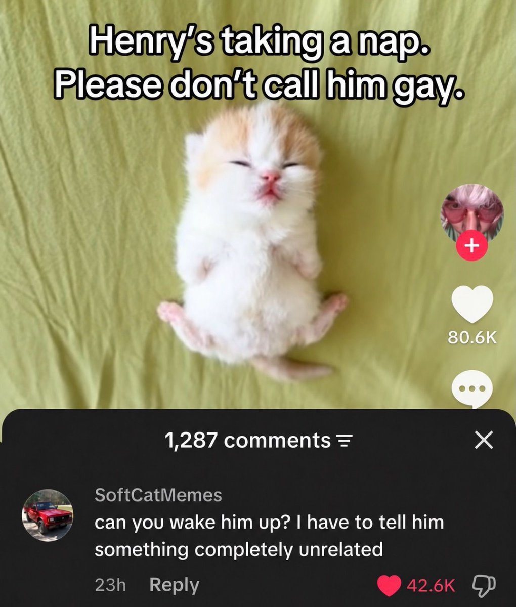 nocontextmemes's tweet photo. https://t.co/TLMwyiN0Qi