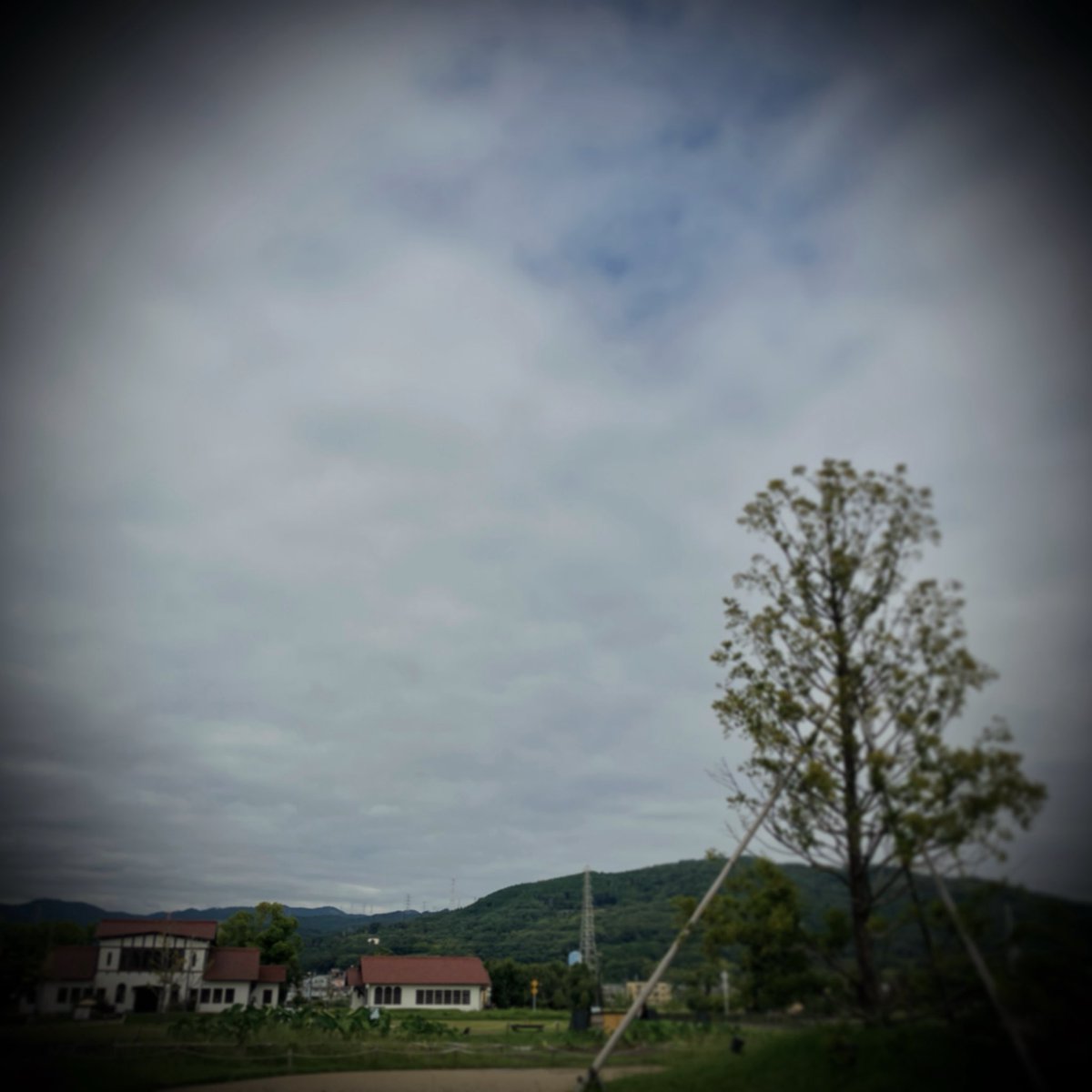 ty_masai's tweet photo. ◻︎…cloudy.
.
.
.
.
.
.
.
.
.
.
▪️雨上がりの仕事場への道。寝不足です。
.
.
.
.
.
.
.
.
.
#homestudio #homestudios #homestudiolife #homestudiorecording #mixing #mixingandmastering #arranger #arrangermusic #daw #theway #thetree #thehouse #esp #espguitar https://t.co/MzIC3HV0NB