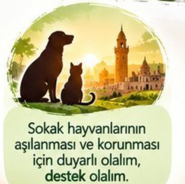 yagmur_gokce06's tweet photo. Hastanelerimizi kedi-köpek dolduran zihniyetin Dünya Kuduz Günü afişinde sevimli kedi ve köpeğin üstüne dünyayı oturtmuşlar. Malumun ilanı. Merkezde bu iki tür. “KUDUZ”un D’sinde de sevimli bir pati.

İlk bakışta “kuduz varsa var; sakın ha, canın pahasına sev” hissi veriyor.

Kuduz, belirtiler başladıktan sonra neredeyse her zaman öldürür. Aşının yetmediği, “aşı oldu ama kuduzu önlemedi” denilen durumlar da vardır. Buna rağmen afiş “önlenebilir, birlikte çözülür, kuduzsuz yarınlar” diye gülümsetiyor.

Sanki aşı reklamı basmışlar. İnsanı önce ısırık ve tırmık riskine sokmamak yok. “Bilmediğiniz hayvana dokunmayın” denmiş; sonra minare önünde duran kedi-köpek görselinin altına “sokak hayvanları aşılansın, korunsun, duyarlı ol, destek ol” mesajı verilmiş.

“Aşısı var” demek, saldırıya uğramamayı sağlamaz. İnsanı korumak aşıdan önce temasın kesilmesidir. Kaynağı yönetmeden, başıboşluğu romantize ederek halk sağlığı yapılmaz.

Kuduz Günü sempati günü değildir. Riskin hatırlatılacağı, önlemin sorulacağı gündür.