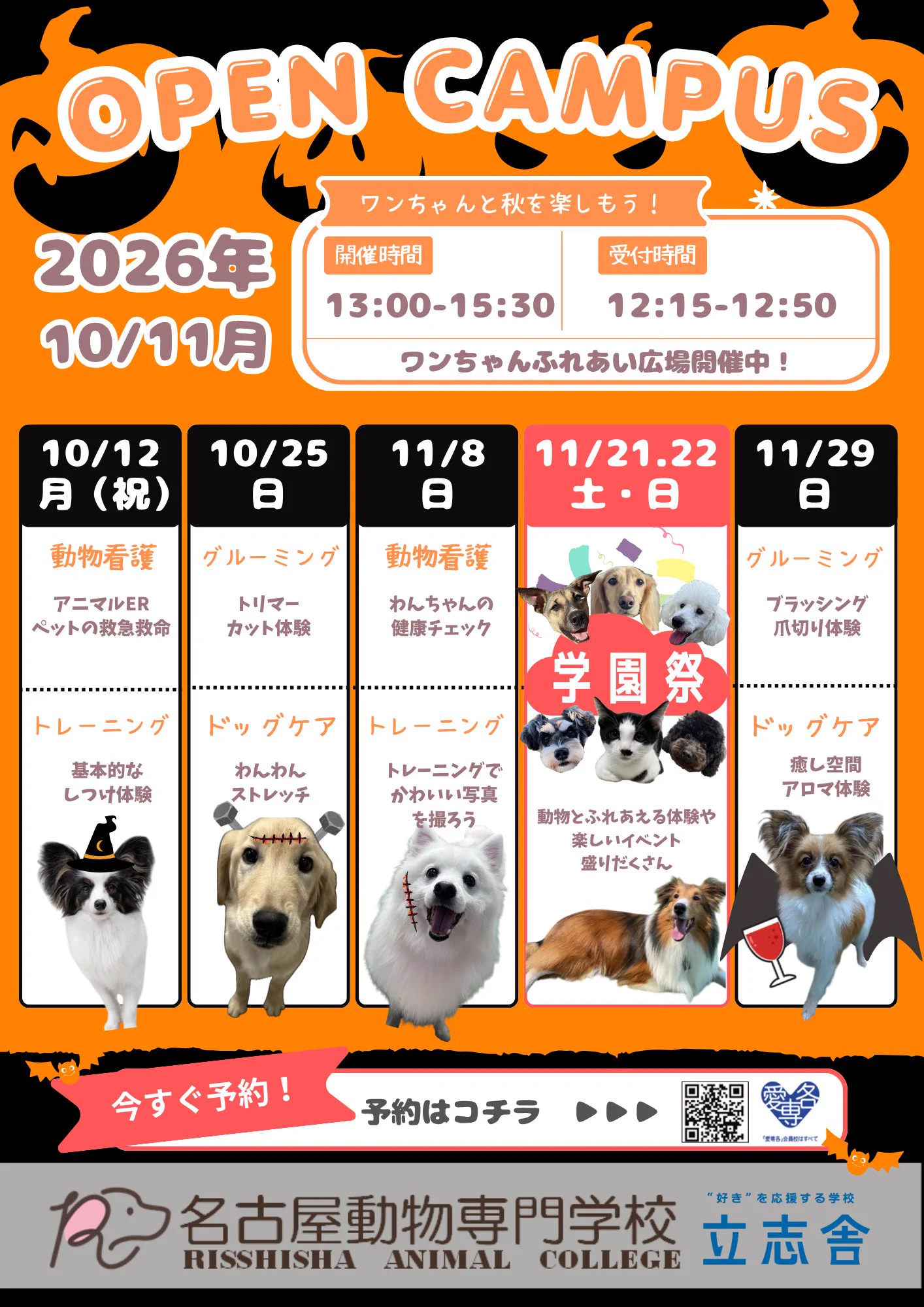 名古屋 動物 専門 学校
