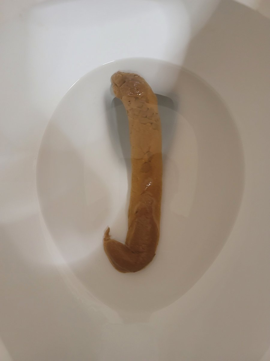 WorshipShits98's tweet photo. Huge log from earlier #scat #poop #pooping #malepoops #malepooping #stinky https://t.co/vkAc17ENlz