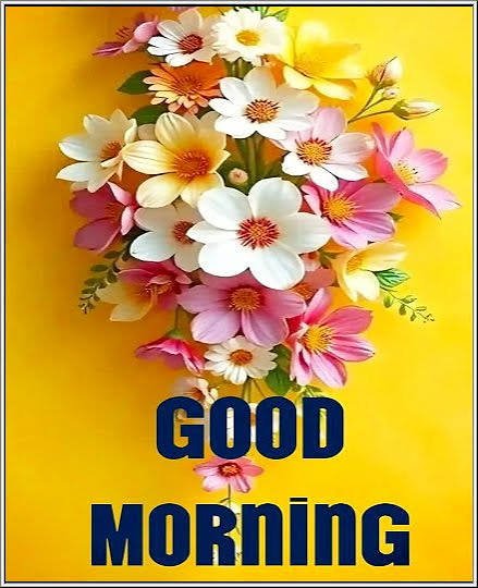 muruganmur24624's tweet photo. @KavithaKedi https://t.co/6IsQWn79ib