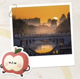 lilycoLADS0404's tweet photo. 冥主さま…？🥺🪷 https://t.co/JtNwShTrKu