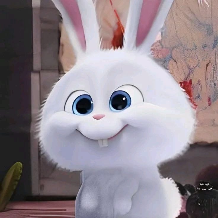 myboo_hani's tweet photo. my snowball : https://t.co/wbg1uvKG8B