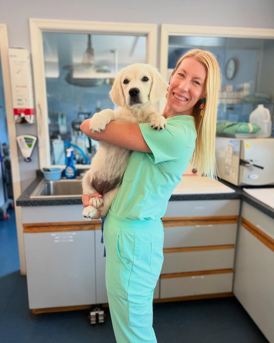 ariasmithzcs906's tweet photo. Sweet Luna had quite an ordeal after ingesting a fallen Aleve tablet. It was a toxic dose, so she needed three days of IV fluids and overnight emergency care. Thankfully, she’s now home with normal kidney function and has made a full recovery. https://t.co/sYN8Y3uVhd