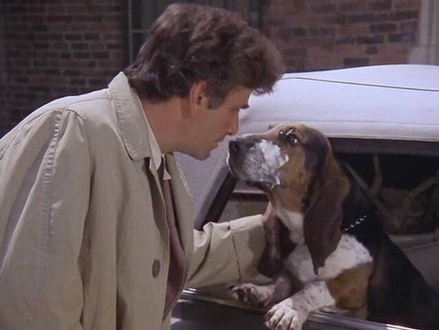 wickedxo_'s tweet photo. @HawkEmDownChris I’m not picking between Droopy &amp; Courage🥺🥰

I’d also like to add Columbo’s dog whose name was “Dog” https://t.co/pvkV3hzf1y
