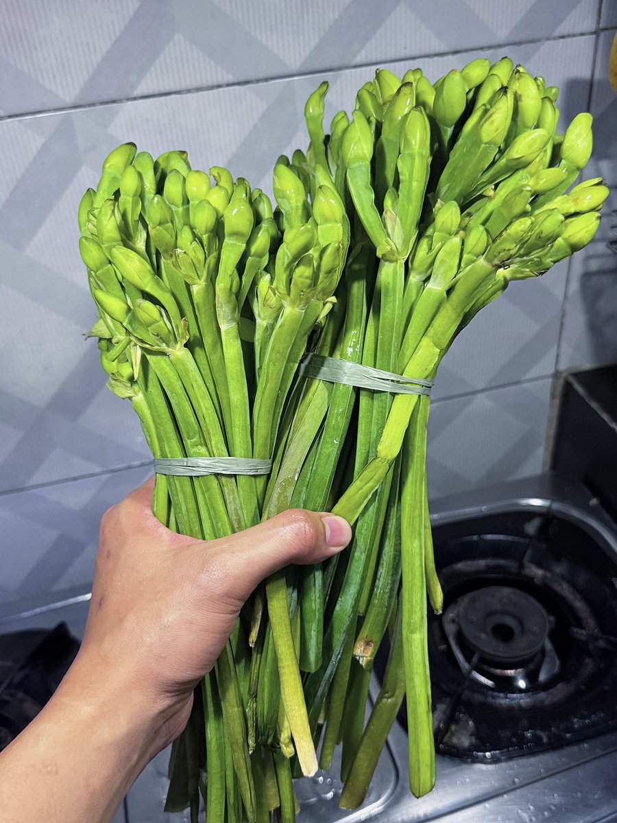 afrkml's tweet photo. SIAPA YANG DOYAN SAYUR INI NGACUNG!!!

Enak banget guyssss!! 🤏🏻🤤
Selamat makaaaannn!

Di tempat kalian gampang atau susah beli sayur ini di pasar? Hahaha https://t.co/gMUA5SxDJ9