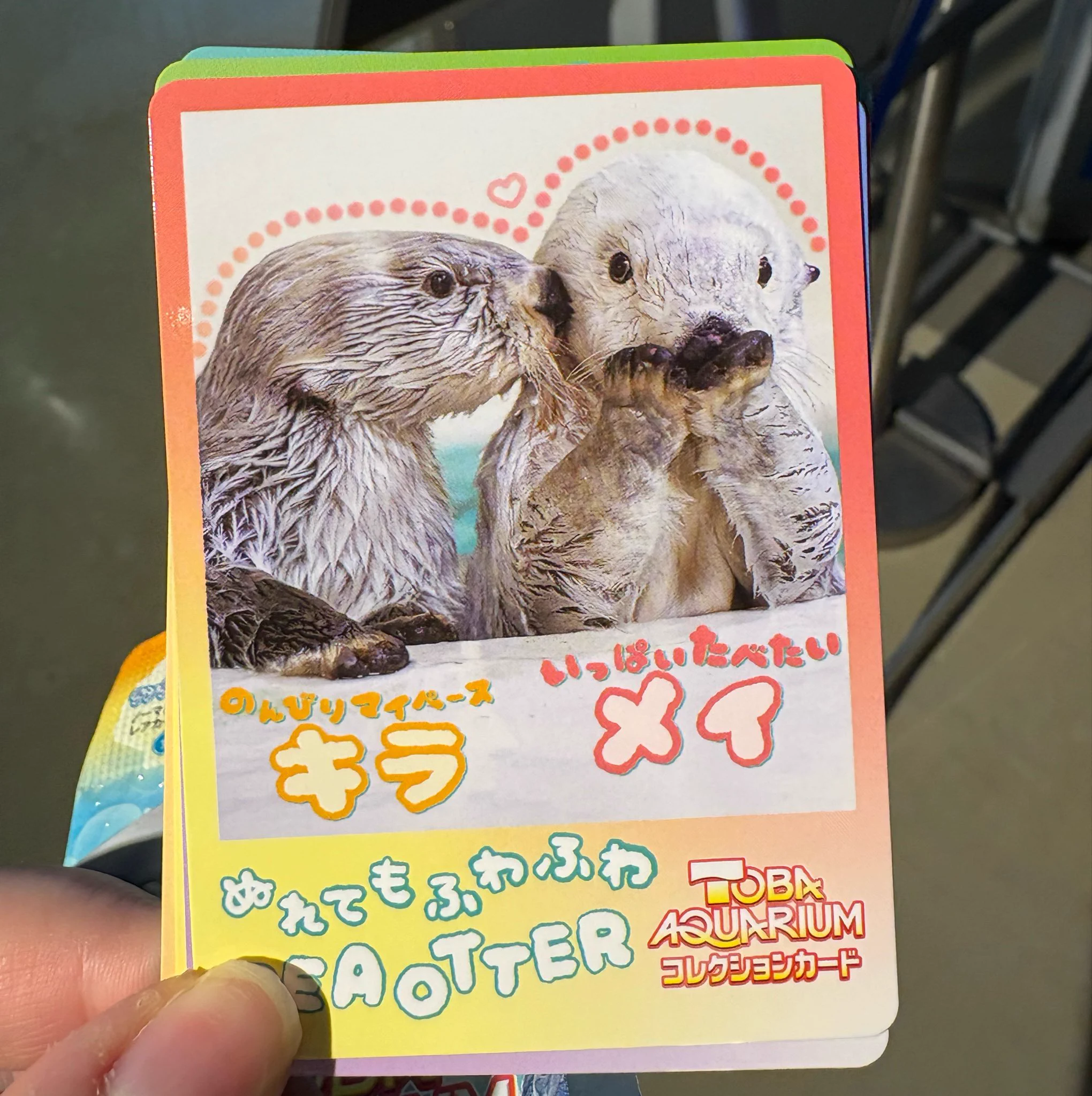 たしまきさわら🐟🍳 on X: 
