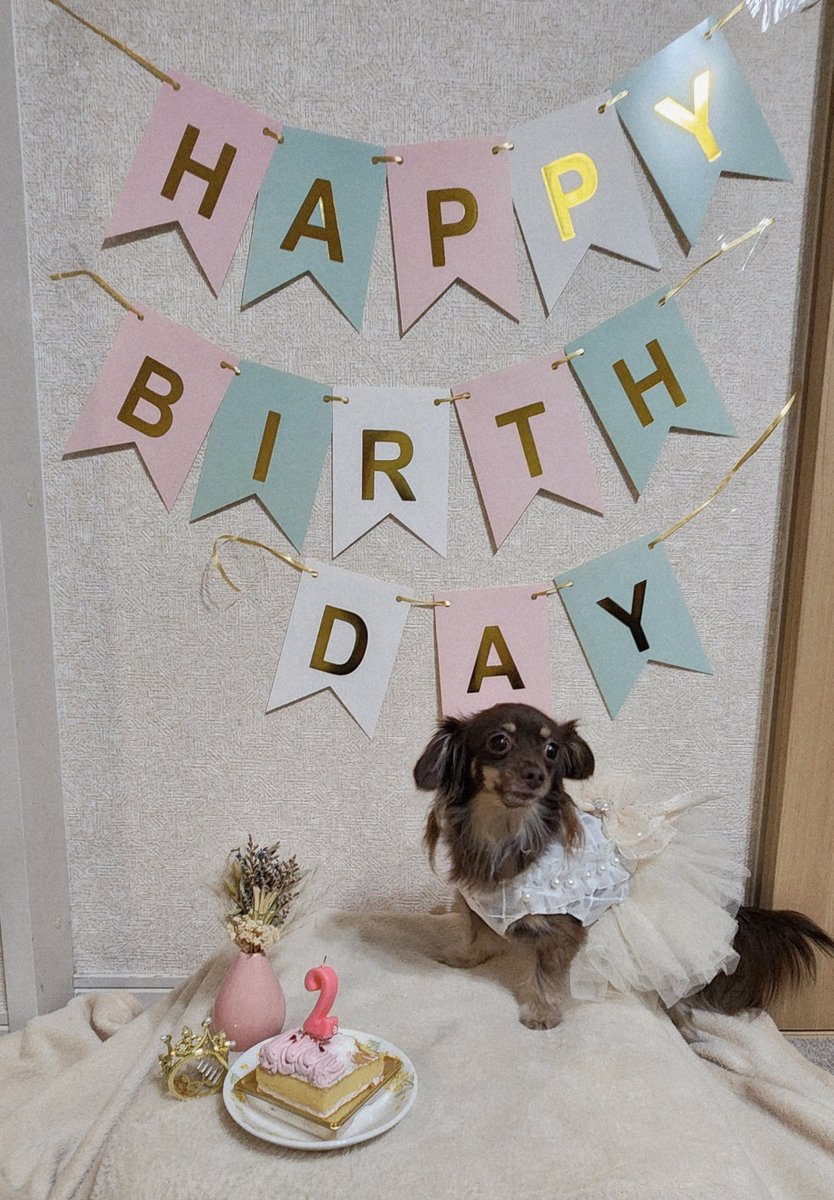 raito184121's tweet photo. 昨日���うちの愛娘ことリンちゃんのお誕生日でした🎂
ドレス着てケーキもガッツリ食べて
今年も元気に1年過ごして欲しい😊 https://t.co/QS1QUAD0qP