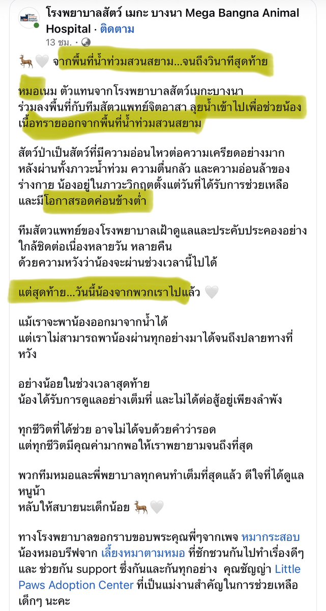 TifFaNy_9member's tweet photo. ทุกคนนน อยากชวนส่งกำลังใจให้หมอเนม หมอโอมและทีมสัตวแพทย์อาสาหน่อยค่ะ

คุณหมอเนมเป็นตัวแทนของโรงพยาบาลสัตว์เมกะบางนา ที่เป็นสัตวแพทย์อาสาลงไปช่วยสัตว์ในสวนสยามช่วง #น้ำท่วม สูงในช่วงแรกๆที่ยังไม่มีใครเข้าไปเลย ซึ่งหนึ่งในนั้นมี “หมอโอม” ที่ร่วมดูแลเนื้อทรายอยู่ด้วย

แล้วตอนนี้น้องกวางที่คุณหมอพยายามช่วยสุดความสามารถแล้ว น้องได้จากไปแล้วในที่สุด คุณหมอและทีมได้ช่วยสุดความสามารถแล้ว

ตอนนี้เห็นว่าคุณหมอโอมซึมมากที่ไม่สามารถช่วยน้องไว้ได้ หมอเนมเลยอยากขอให้ทุกคนไปให้กำลังใจหมอโอมหน่อย คุณหมอเศร้าและซึมมากจริงๆ