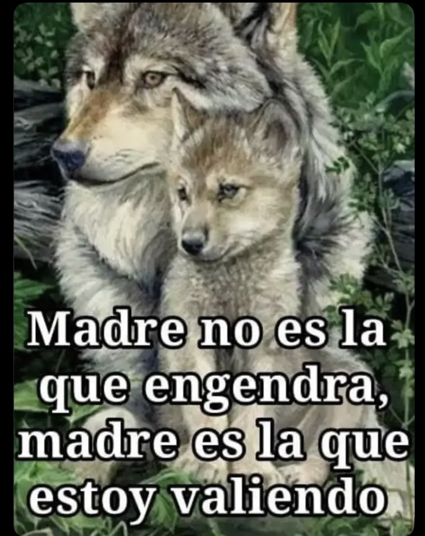 Danexx816's tweet photo. @sailyquimir Yo usaría esta 🫠 https://t.co/eHRbehqp44