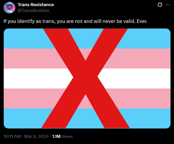 InsanePPLCope's tweet photo. If you identify as trans, you are and always will be valid. Forever. https://t.co/orrMnA3Cng