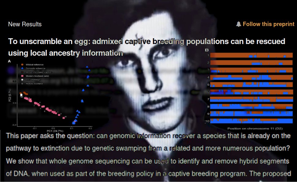 wacistwigga's tweet photo. Conservationists discovering population genetics might be the best thing to ever happen to the field of race science https://t.co/dVs4idRouk