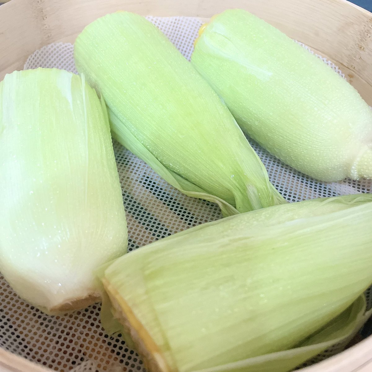 mishiromimi's tweet photo. ここ1週間以上、毎日のようにとうきびをもぐもぐしてる🌽あまあまのうまうま https://t.co/Uk85OkEA6D