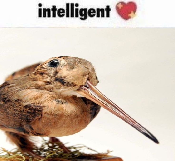 lack_baby's tweet photo. Love this image. Yeah you are https://t.co/2AVxoWBHsa