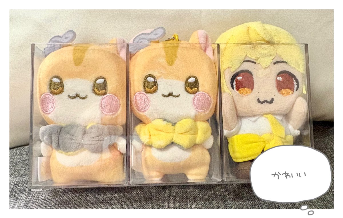 nameko_root's tweet photo. るぅとくん みてみてー！👀✨生誕祭のパッキングをしていたら、なんか可愛いことになったのでお写真でおすそ分けです՞꜆ ܸ. .ܸ՞꜆
こうしてグッズ達に癒されながら☺️ るぅとくん のお誕生日に向けてたっくさん準備しているよ( ˶･-･˶)君から受け取れるものも、君に届けることも楽しみ🎶おそろいかな？ https://t.co/7Ace9IkkcB