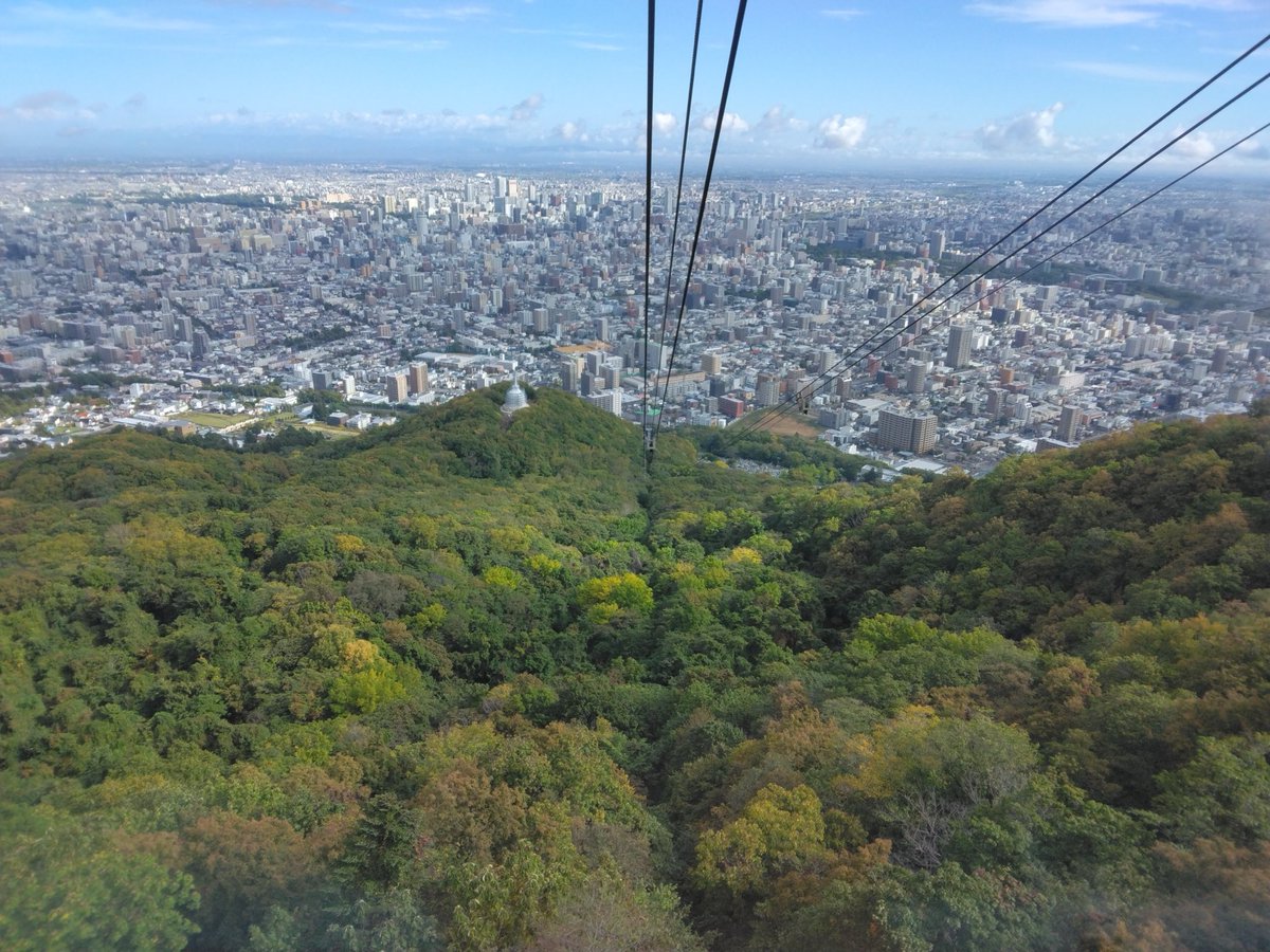 moiwaropeway's tweet photo. うっすら黄色くなりはじめました。
#藻岩山 #紅葉 https://t.co/Fy74kjX8RK