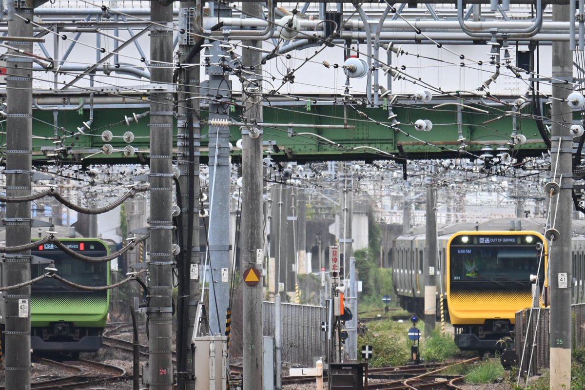 Cocoa_189_510's tweet photo. 中央・総武緩行線用のE235系0番台ミツB33編成が東京総合車両ベースから本日出場。

元は山手線用のE235系0番台トウ33編成だった車両で、サハE235-4636を脱車し"黄緑色の帯"から""黄色の帯""に変更・転用工事をし「三鷹に転属」する模様。

ヤテレンジからミツレンジになったの早くも"2本目"ですか。。 https://t.co/LbqV2VGzm6