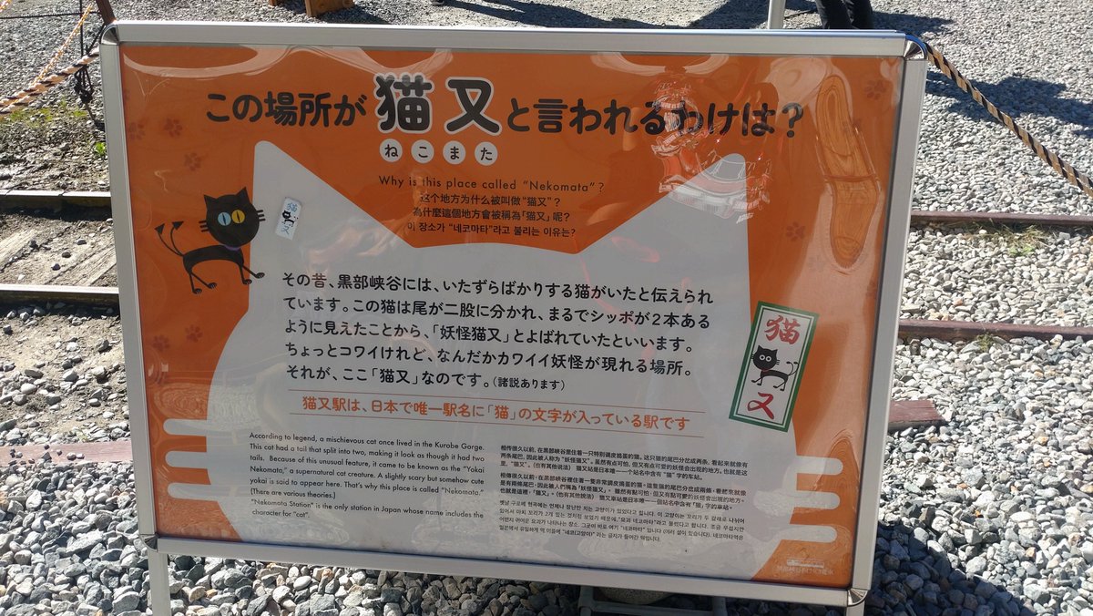 mon_t7s's tweet photo. 猫又 https://t.co/DPsKaaRurq