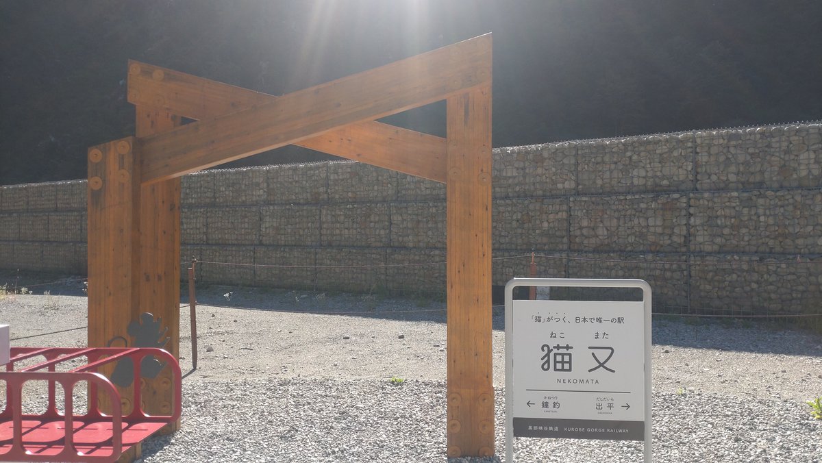 mon_t7s's tweet photo. 猫又 https://t.co/DPsKaaRurq