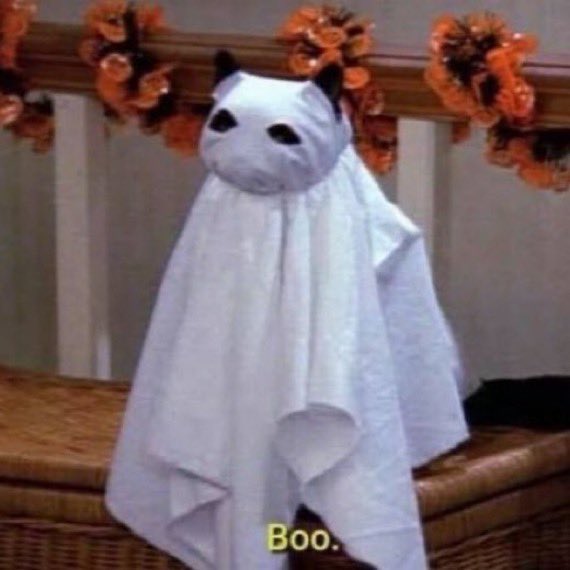 screamnhorror's tweet photo. september 30th                     october 1st https://t.co/EyDfQ8A5bm