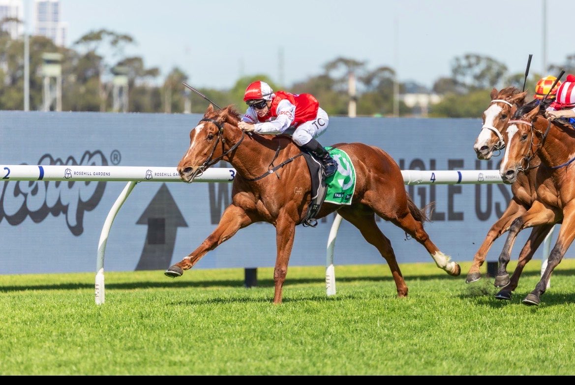 byronrogers73's tweet photo. Good to see Low Key, a daughter of @DarleyStallions Pinatubo, break her maiden in style @aus_turf_club today. Purchased her as a @inglis_sales Easter yearling with @GaiWaterhouse1 , Adrian Bott, @bruceaslade and @ChampionTbreds https://t.co/hJQhtCKJYH