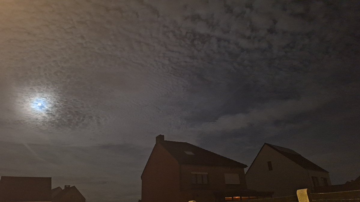 Aesthetic1333's tweet photo. .

It feels like waking up on a different planet.

The texture of the sky looks like an ocean frozen in time, guided by a soft, ethereal glow over the silent rooftops.

Absolutely surreal. 🪐☁️

#SurrealSky #MorningMagic #DawnAesthetics

. https://t.co/Oj918UDA01