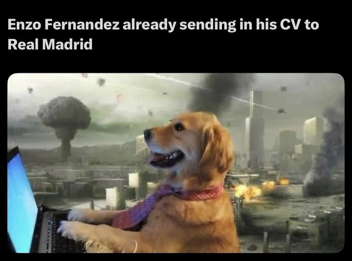 manutdlad7's tweet photo. All man city players rn https://t.co/2c83duMXlg