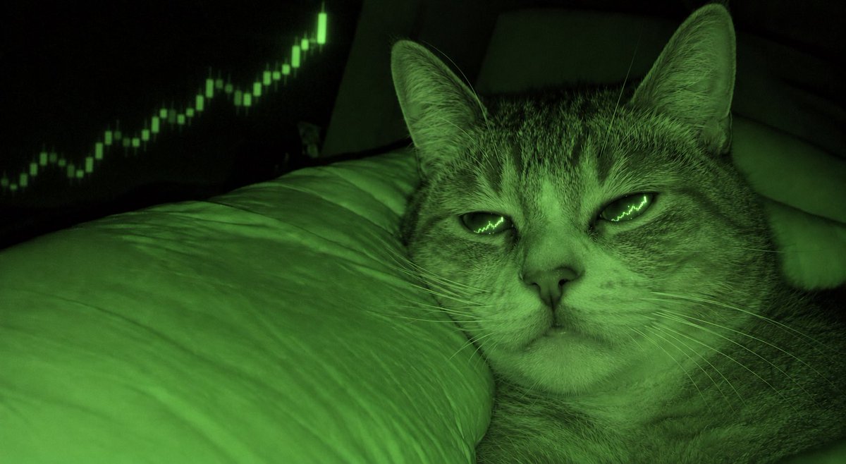 TheLastH0dler's tweet photo. Going to sleep in September. Waking up bullish. 🐈📈 #Uptober https://t.co/NH2Css3RaS