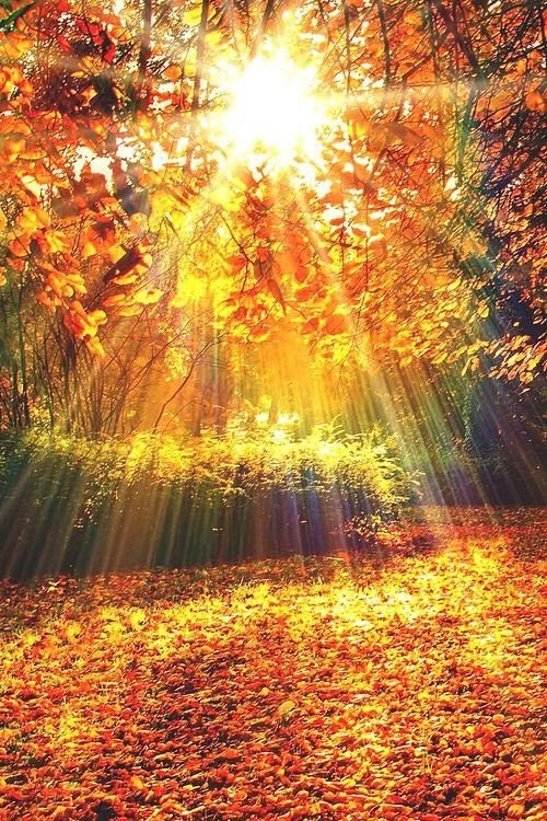 bettinaschroed5's tweet photo. ❤️❤️❤️Always🙏a light❤️❤️❤️
For🌸🌸🌸You🌸🌸🌸dear🐾
Friends❤️❤️❤️and a great 
Start into a wonderful new 
Month❤️🌸🙏❤️🌸🙏❤️ https://t.co/38ixYwIpEf