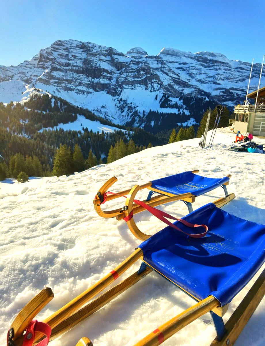 erink971224's tweet photo. This sled is perfectly sized to deliver each and every gift for you! https://t.co/4b9Z8UGhe9