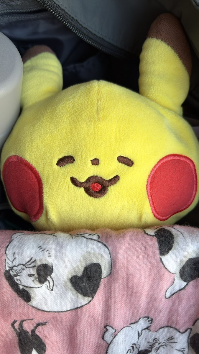 ogiharu's tweet photo. 市役所帰りに気力があればピカチュウラテ飲みに行く予定なので
カナヘイピカチュウ連れてきた https://t.co/BTG5KAPEbx