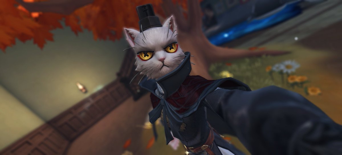 _Kimchi1_'s tweet photo. I've been waiting all day for this kitten <3 
#idv https://t.co/Ji3i9BFeAV
