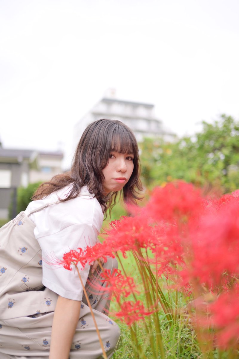 matui_kazuhiro's tweet photo. 彼岸花 https://t.co/lMsrQFFtcL