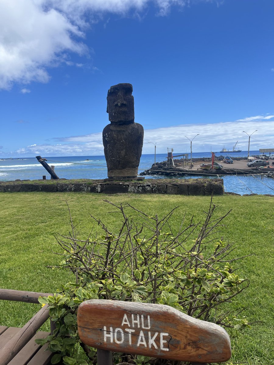 le1e2eo's tweet photo. 着いたのはイースター島！！
1日目は宿に荷物下ろして街中を散策と同時にツアー会社を探す
スペイン語が話せるおかげで楽ちんだし、ツアーも安い
そこで出会ったモアイたち https://t.co/45lmV7n4Wq