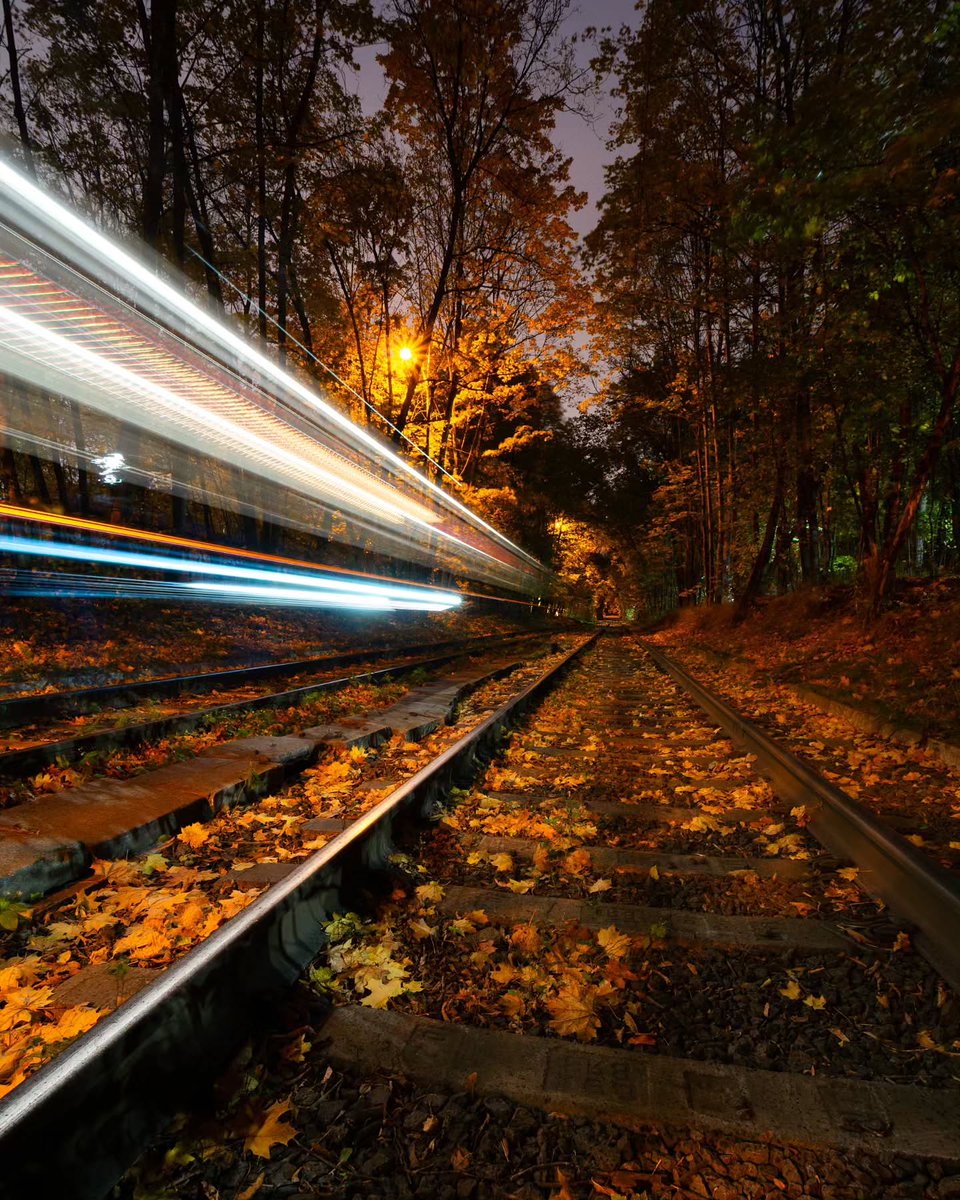 suzy50's tweet photo. Autumn forest, night, and a tram transformed into a stream of light

Sokolniki Park... https://t.co/6CvJkZ9711