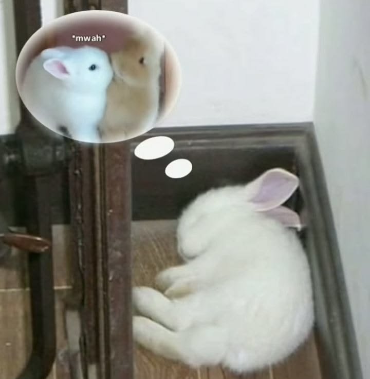 ivanwsrr's tweet photo. mwah https://t.co/XeUacRuu9H