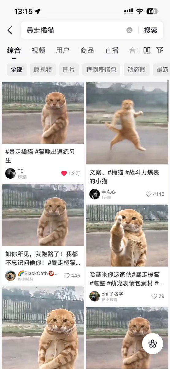 BNBBuilder_dev's tweet photo. 抖音最近爆火的“暴走橘猫” 也被网称为中指猫 没有什么烦心事是竖中指解决不了的  如果有，那就再突突一次 惹完我就跑 完美符合战壕，冲了我就跑https://t.co/vtNcttvaI9 https://t.co/wXiZrsKJ9S