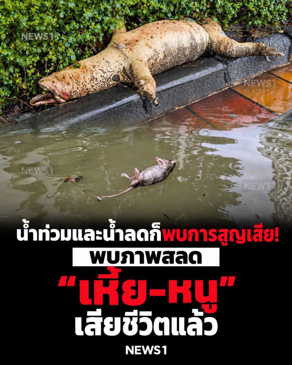 en_ounn's tweet photo. ให้รางวัลครีเอทีฟด่วน55555555555555 https://t.co/lvttT5zxtV