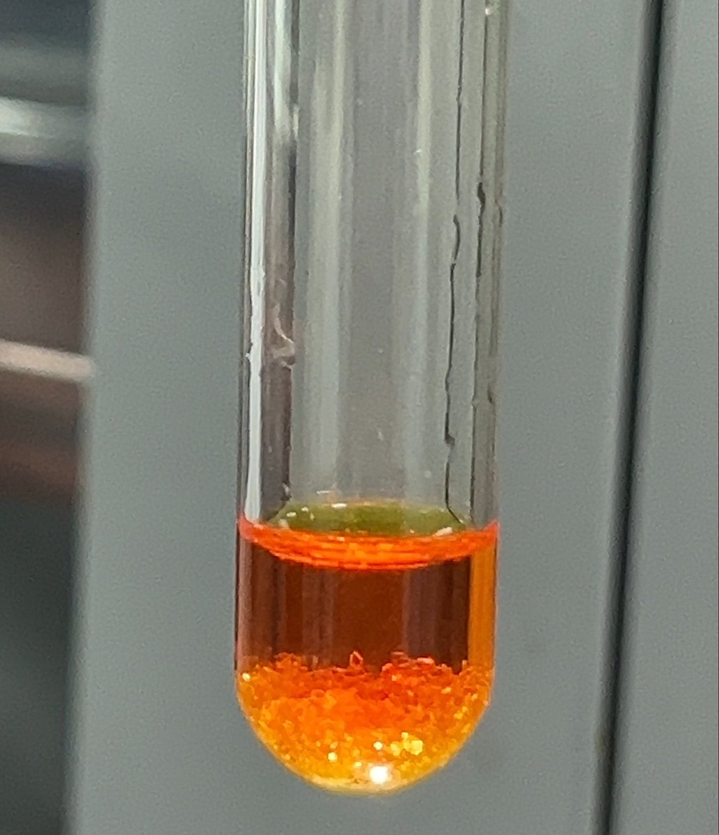 Onlylily04's tweet photo. — uni lately 👩🏼‍🔬🧬💫🧪 https://t.co/rh7fNK6rPN